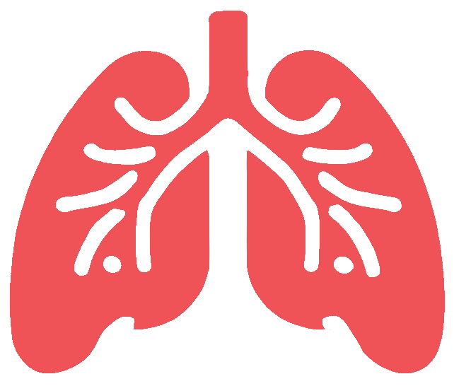 Lungs Icon